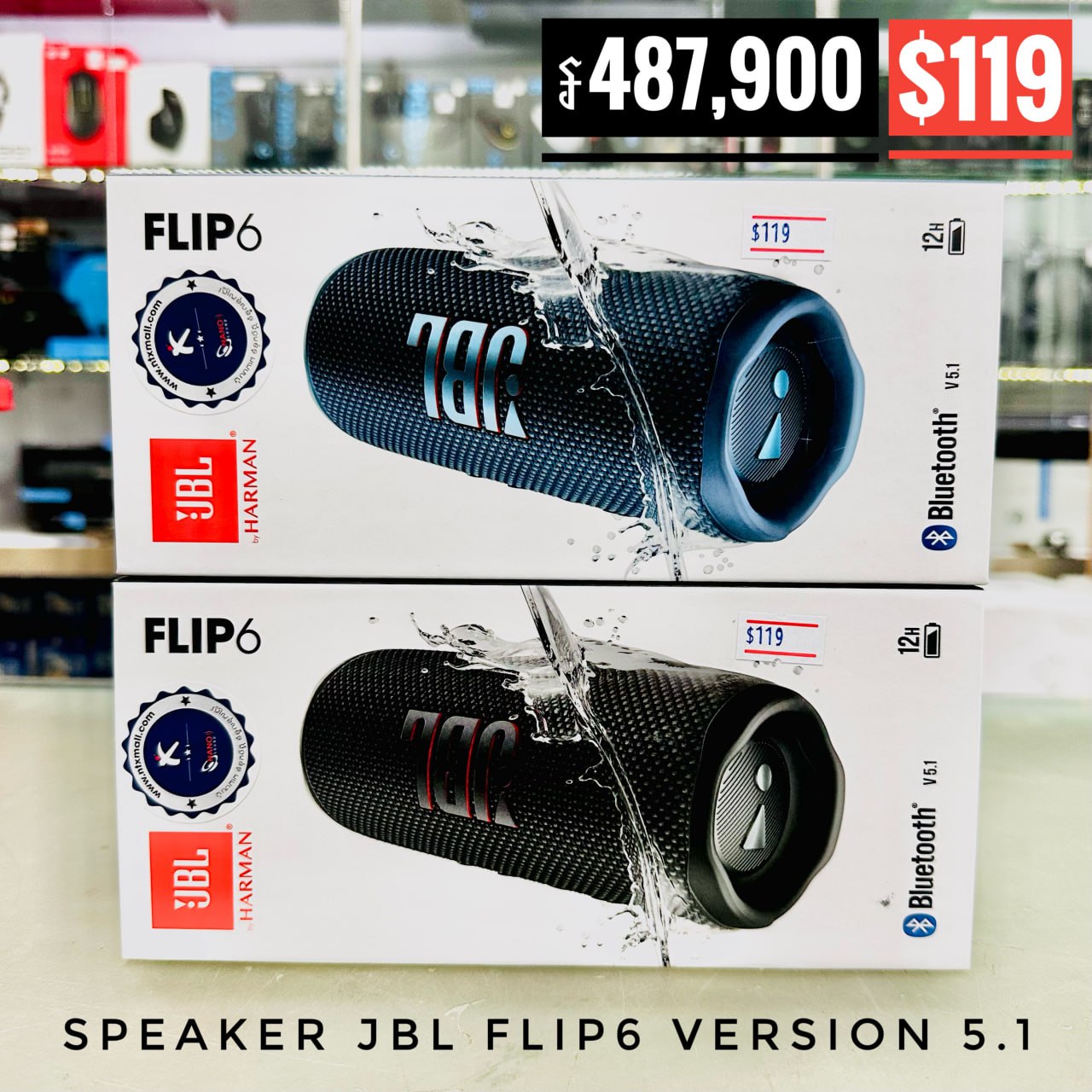 Speaker JBL Flip6 – The Quality Electronics Store